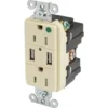 Hubbell® 15 Amp 125 Volt Hospital-Grade Duplex Standard Outlet (Ivory)