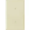 Titan3 1-Gang Jumbo Smooth Blank Wall Plate (Ivory)