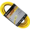 Southwire 25 Ft 12/3 Sjtw Outdoor Heavy-Duty Extension Cord W/power Light Plug