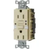 Hubbell® 15 Amp 125 Volt Self-Test Gfci W/ Night Light (Ivory)