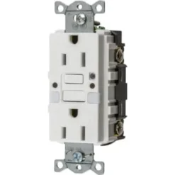 Hubbell® 15 Amp 125 Volt Self-Test Gfci W/ Night Light (White)