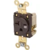 Hubbell® 20 Amp 250 Volt Residential Self-Grounding Duplex Standard Outlet (Brown)