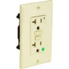 Hubbell® 20 Amp 125 Volt Hospital Grade Tamper-Resistant Self-Test Gfci Receptacle (Ivory)