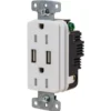 Hubbell® 15 Amp 125 Volt 3-Wire Grounding Duplex Standard Outlet W/ Usb Charger (White)